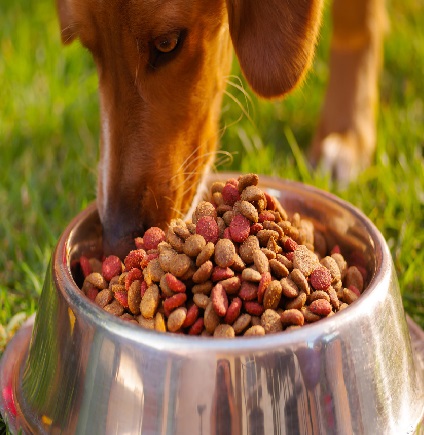 ALIMENTAÇÃO ANIMAIS